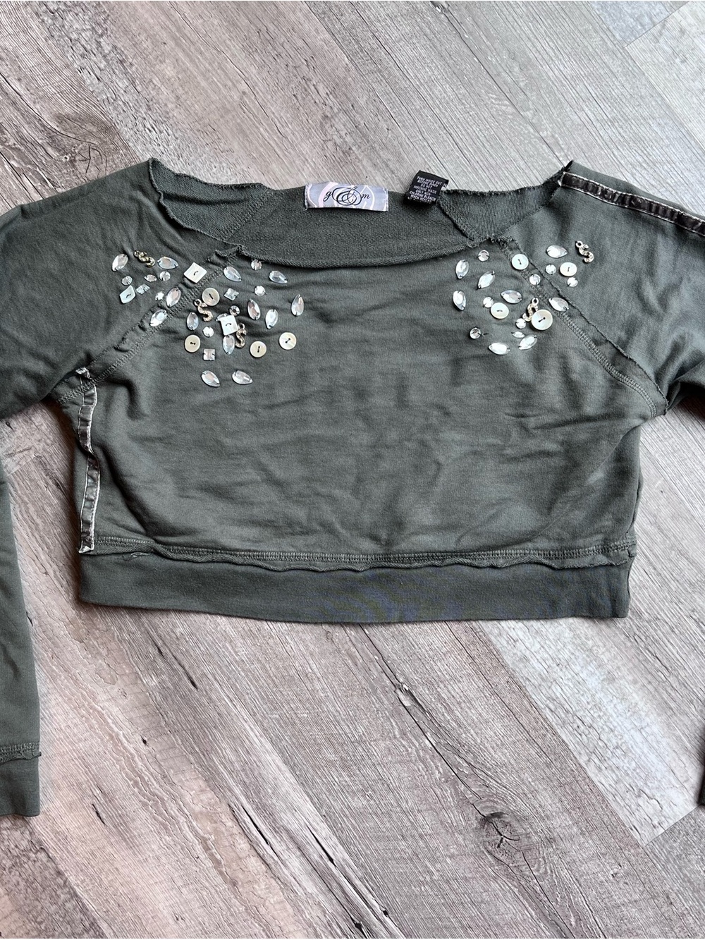 Y2K Embellished Gray Women's Cropped Top Long Sleeve